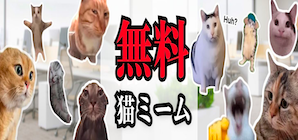 無料猫ミーム